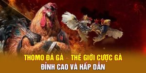 Đá gà Thomo thế giới cá cược đỉnh cao và hấp dẫn
